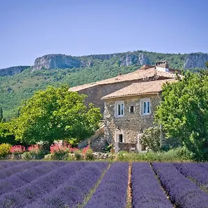 Chez Bacchus , Gras France