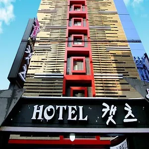 Hotel Cats, Bucheon